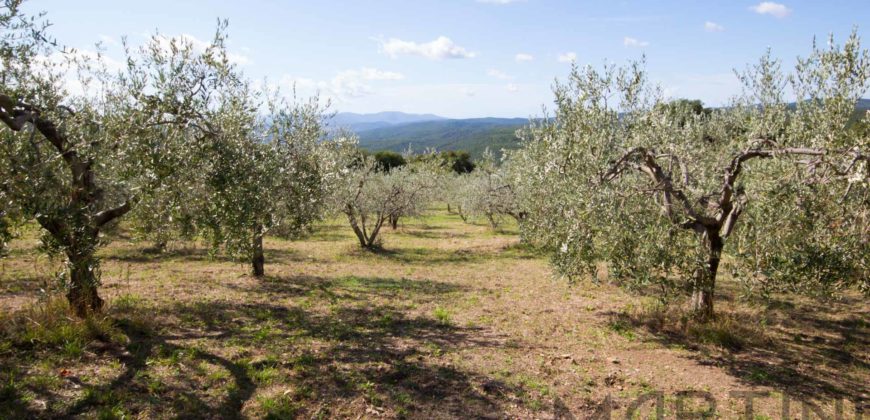Annesso Agricolo in Muratura nelle Colline Toscane