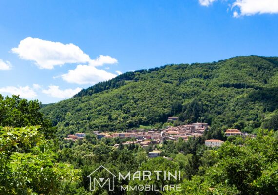 Montieri – Old Mine Village